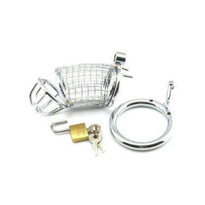 Male Chastity Cage. Cock Cage. Sex Toys for Men. Rise of Loyalty Penis Ring Lock. Wearable Chastity Cage For Outdoors.